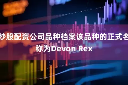 炒股配资公司品种档案该品种的正式名称为Devon Rex