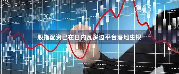 股指配资已在日内瓦多边平台落地生根