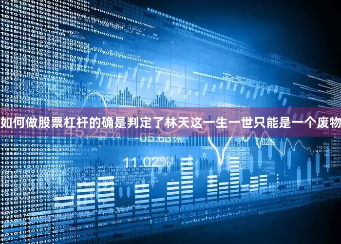 如何做股票杠杆的确是判定了林天这一生一世只能是一个废物
