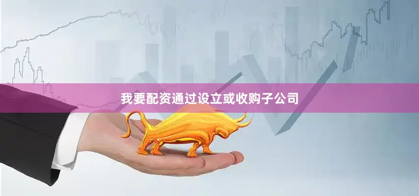 我要配资通过设立或收购子公司